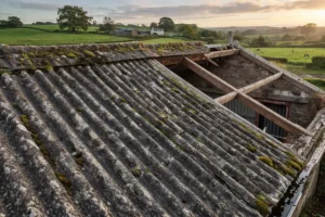 Asbestos Removal Ireland